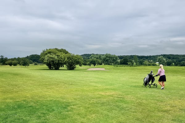 Golf Push Cart Buying Guide: 3-Wheel vs 4-Wheel, Electric vs Manual