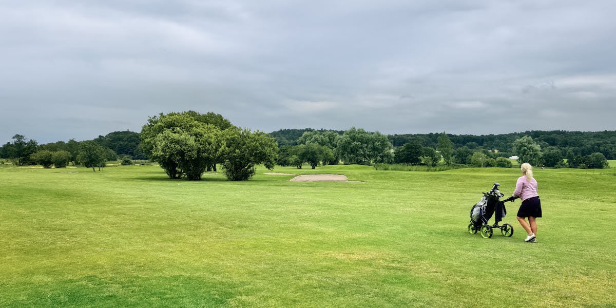 A golf cart parked outdoors with resort and palm trees in the background, perfect ...