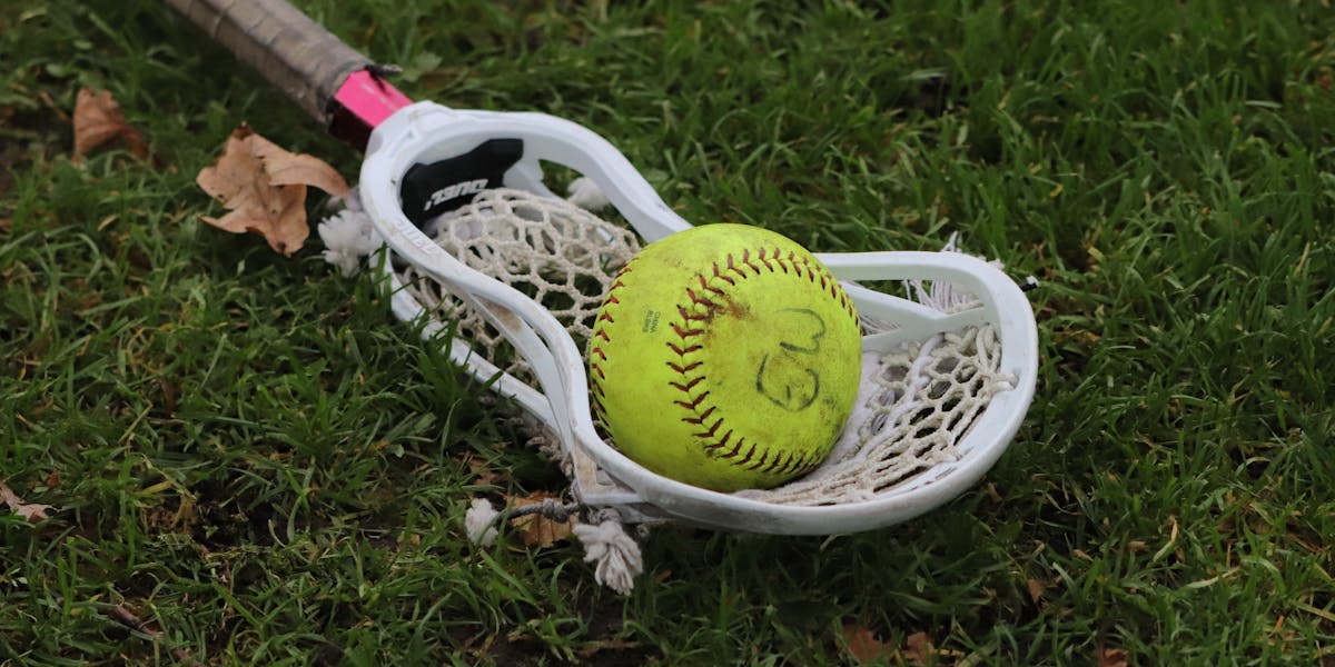 Close-up of vibrant fall leaves scattered on the ground, showcasing autumn colors ...