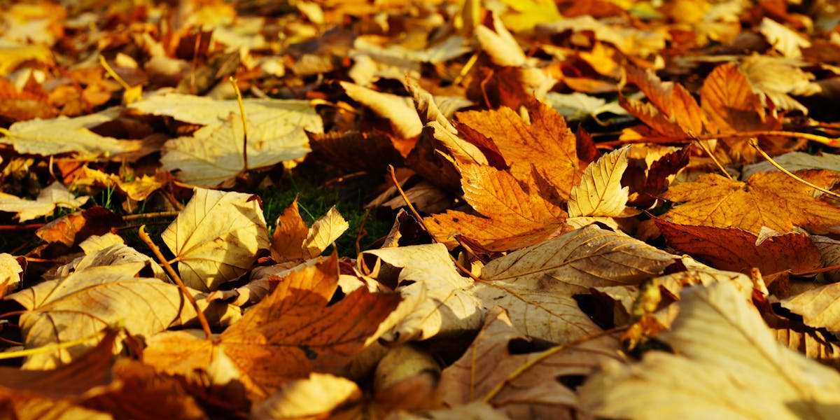 Close-up of a motorcyclist wearing a reflective helmet, capturing outdoor reflecti...