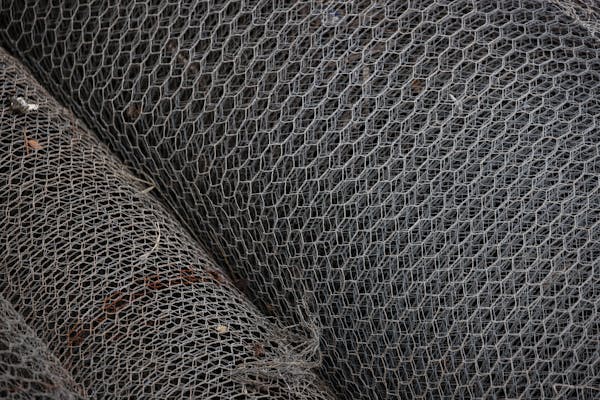 Lacrosse Mesh & Pocket Guide: Traditional vs Mesh, Width, and How to String