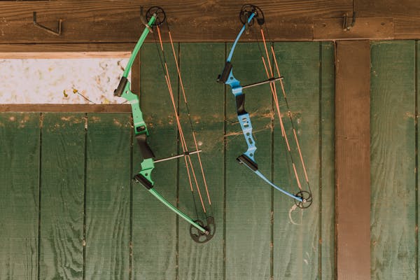 Bow Sight Buying Guide