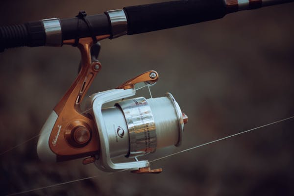 Fly Fishing Gear Guide: Rods, Reels, Lines, and Waders for Beginners
