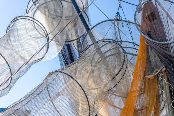 Pickleball Net Buying Guide: Portable vs Permanent, Indoor vs Outdoor