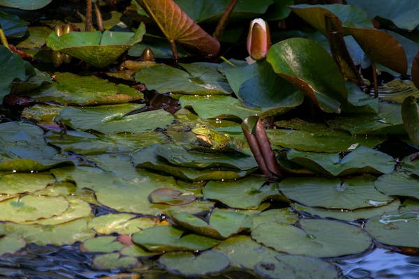 Pickleball Paddle Weight and Balance: How It Changes Your Game