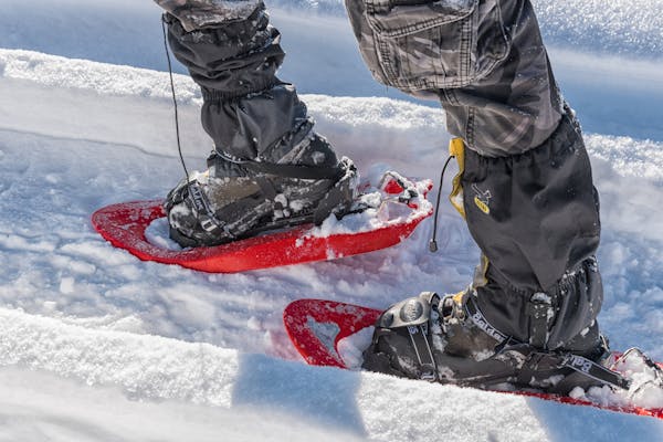 Best Snowshoes for Beginners 2026: Budget to Mid-Range Picks