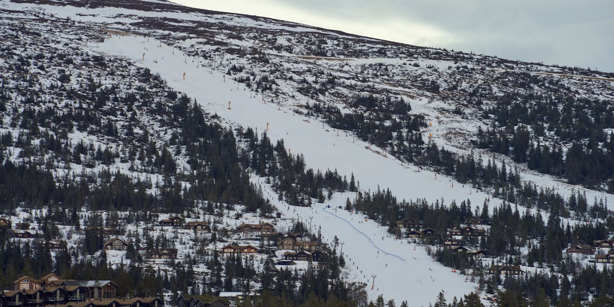 Energetic skier carving through fresh snow on a sunny winter day.