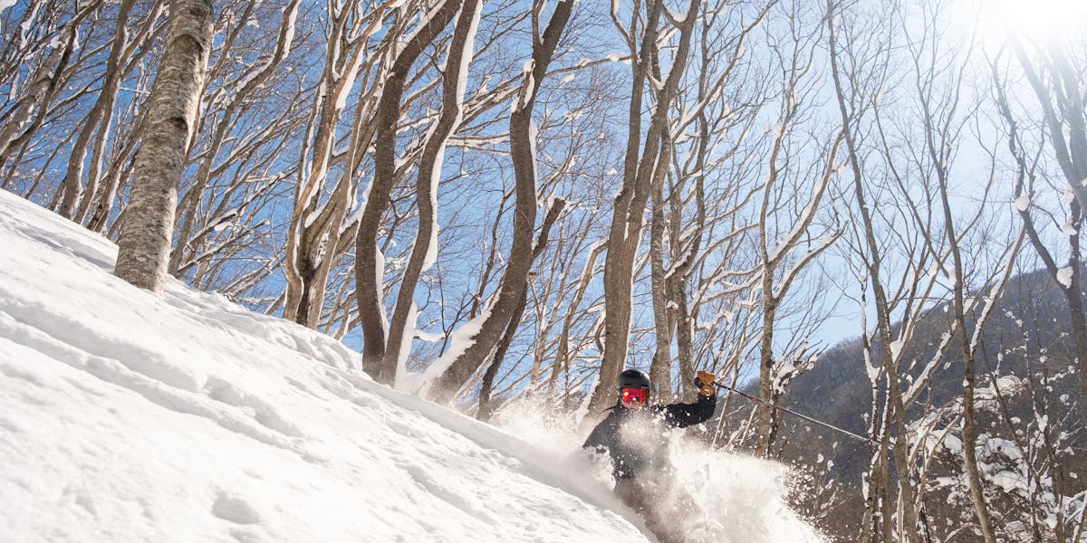 Ultimate Dr. Martens shoe care kit including protector, brush, and wax for leath