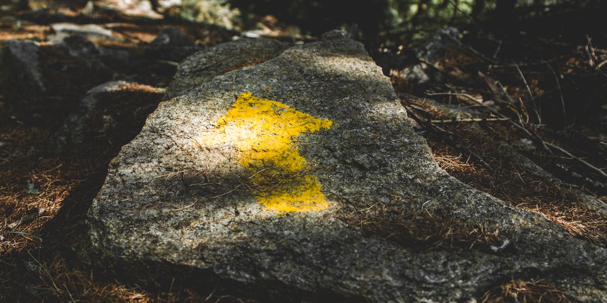 REI Co-op Trailmade 2