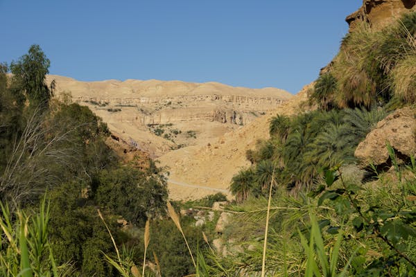 Best Camping Tents Under 200